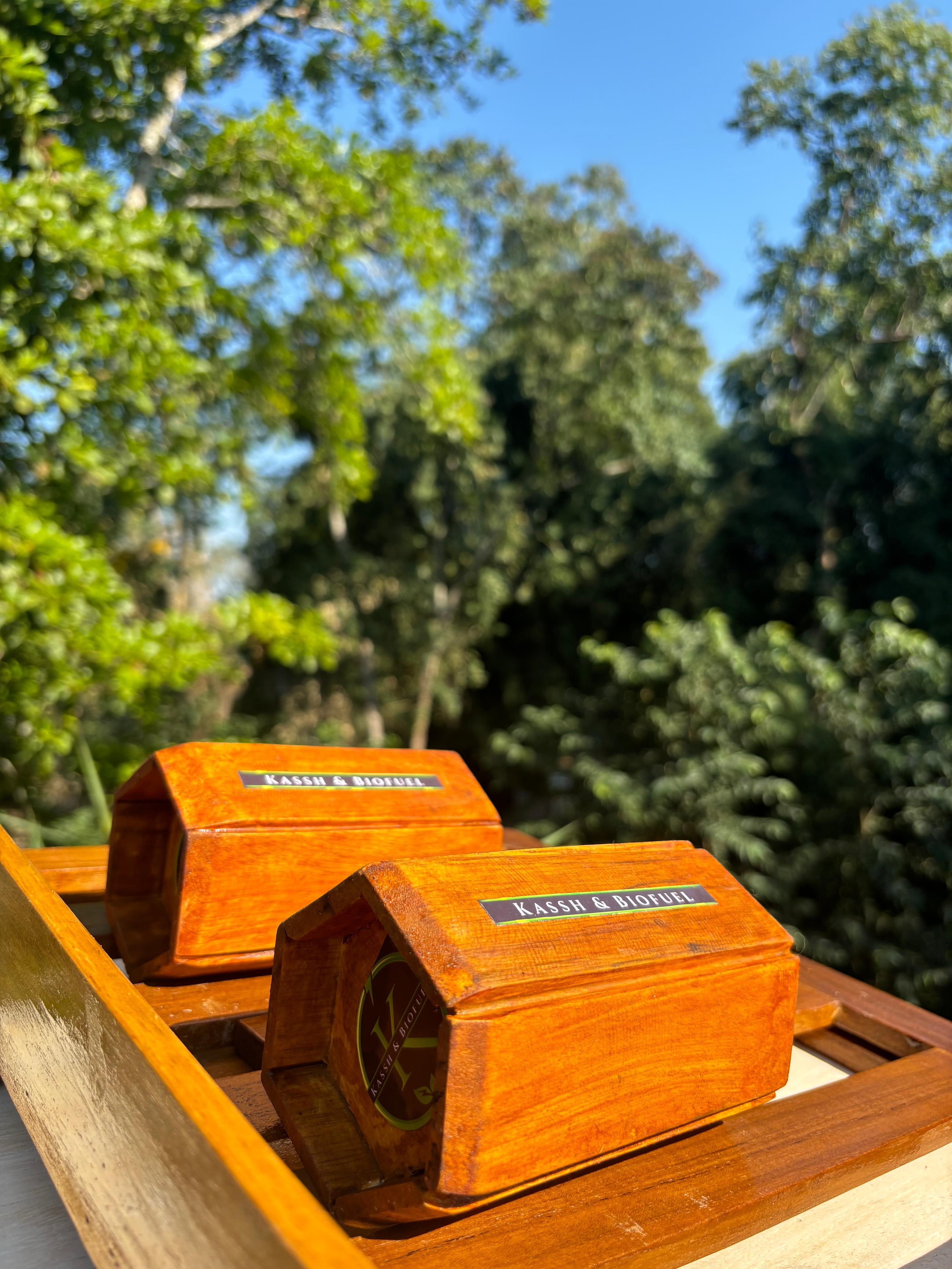 Wooden Pen Stand